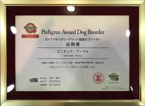 Pedigree Award Dog Breeder